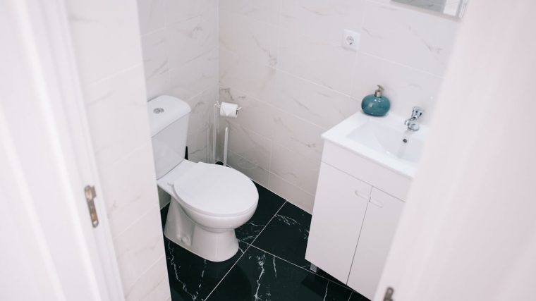 Les meilleures astuces pour bien choisir la peinture pour décorer les WC