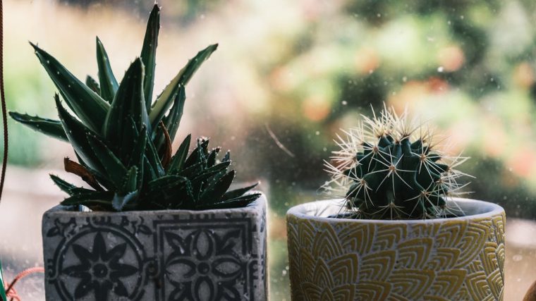 personnages en pots de fleurs pour égayer votre jardin